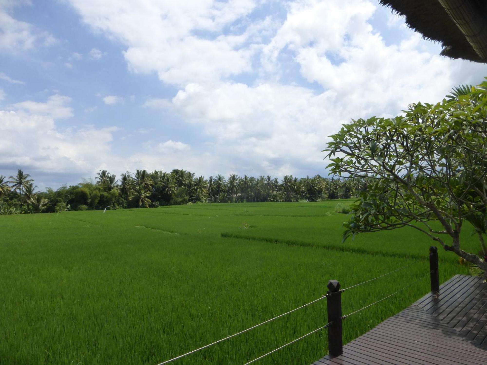 Bali Harmony Villa Ubud  Room photo